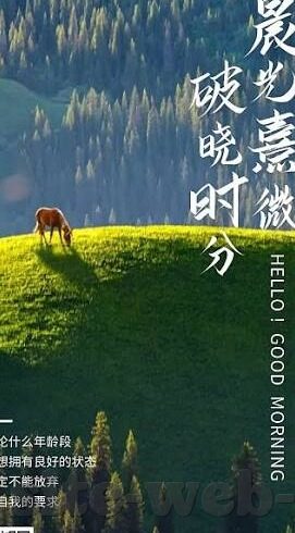 竞彩足球比分即时比分app-竞彩足球比分即时比分app，重塑体育竞技体验的新篇章